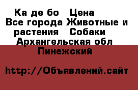 Ка де бо › Цена ­ 25 - Все города Животные и растения » Собаки   . Архангельская обл.,Пинежский 